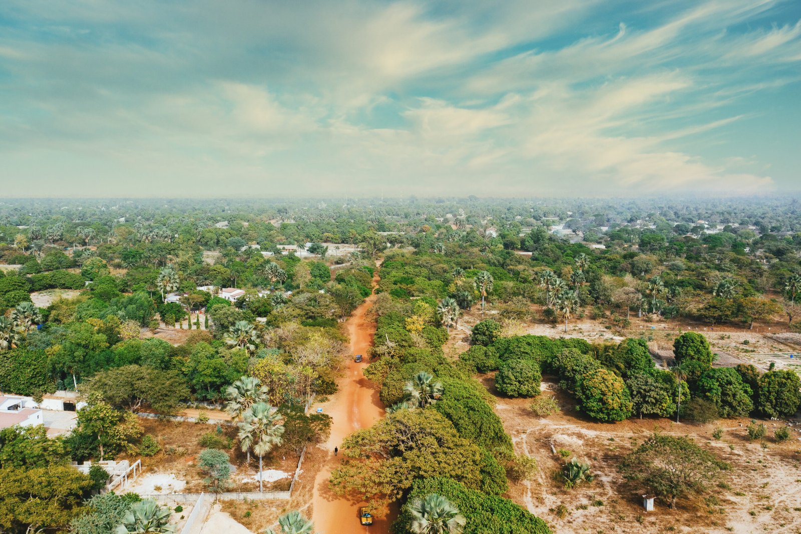 aerial view straight dirt road from village with trees around scaled